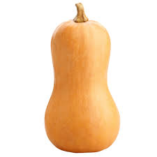 Zucca Butternut