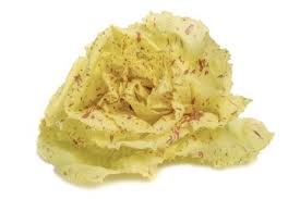 Radicchio Variegato