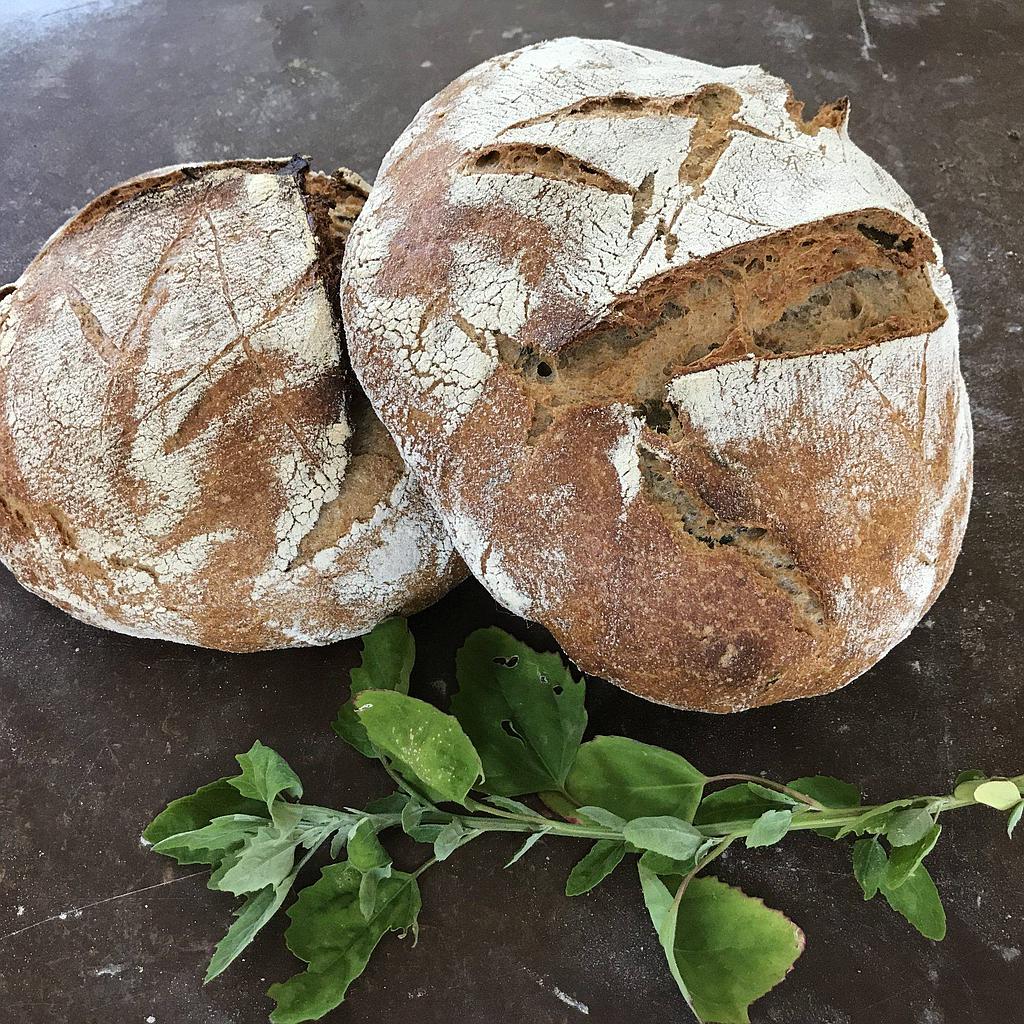 Pane Mix Cereali con Semi Dovadola Bio