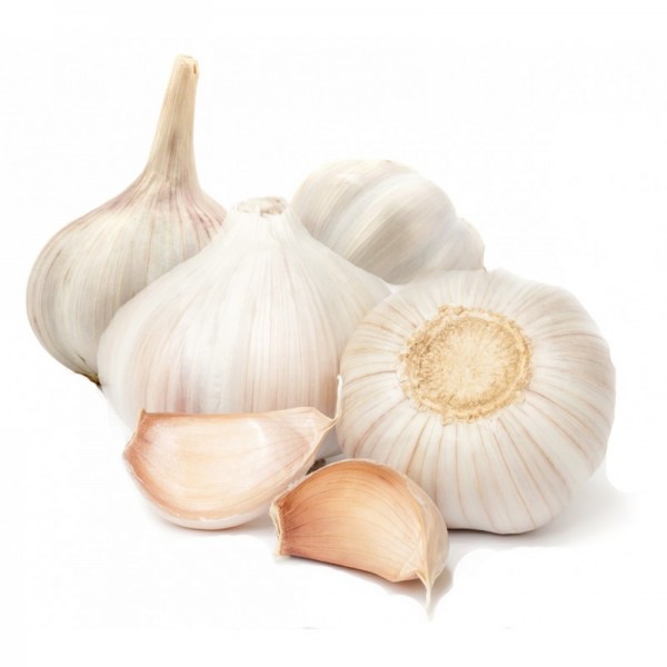 Aglio Bianco cal. 40/60 Extra