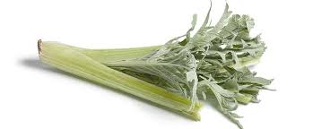 Cardo