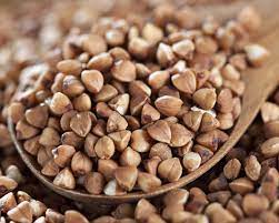 Grano Saraceno